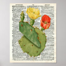 Art botanique de Cactus vintage sur dictionnaire P