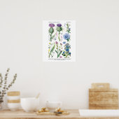 Poster Art botanique Fleur sauvage anglais no 11 (Cuisine)