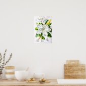 Poster Art botanique vintage (Cuisine)