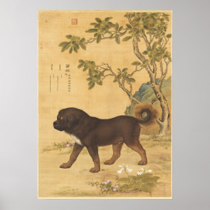 Poster Art chinois impérial du Mastiff tibétain vintage