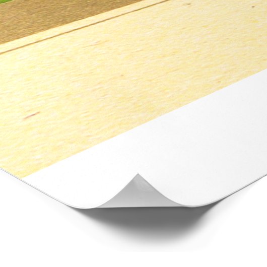 Poster Art classique asiatique Mughal Empereur Bader 17e  (Coin)