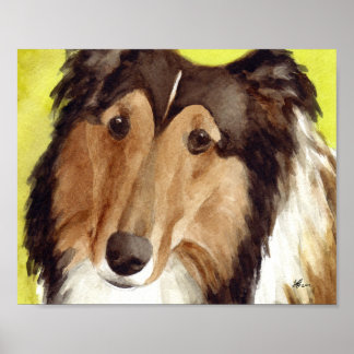 Poster Art Collie