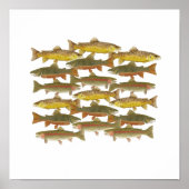 Poster Art commun de la truite (Devant)