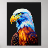 Poster Art d'aigle à tête blanche coloré (Devant)