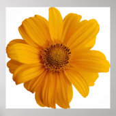 Poster Art d'annotation (Devant)