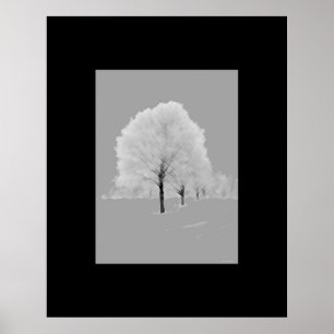 Poster Art d'arbres - emmêlés, noir et blanc de mur
