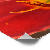 Poster Art d'Augle, (Coin)