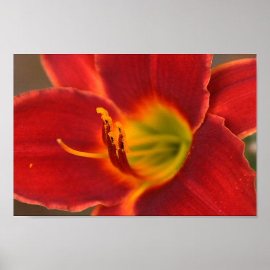 Poster Art d'Augle, (Devant)