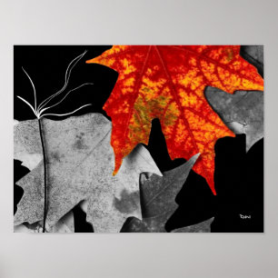 Poster Art d'automne