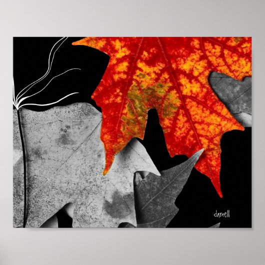 Poster Art d'automne (taille d'image standard) (Devant)