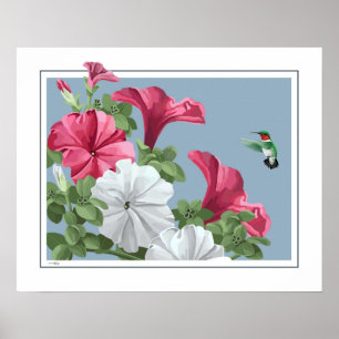 Poster Art de colibri