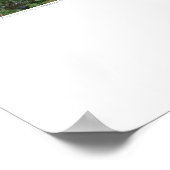 Poster Art de couverture - Arbre et dos - Griego (Coin)