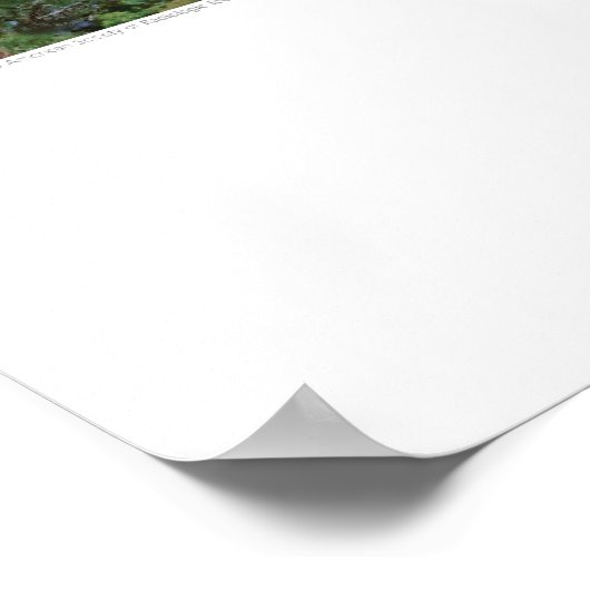 Poster Art de couverture - Arbre et dos - Griego (Coin)