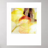 Poster Art de couverture - Stems et Cou - Griego (Devant)