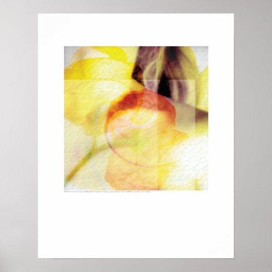 Poster Art de couverture - Stems et Cou - Griego (Devant)