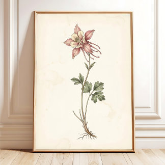 Poster Art de ferme botanique antique columbine