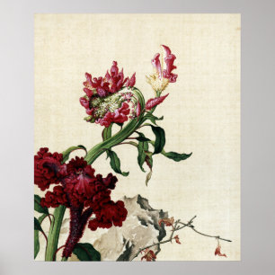 Poster Art de fleur de crête de coq rouge Chinoiserie vin