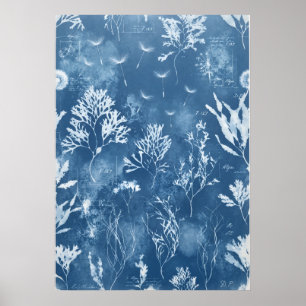 Poster Art de journal botanique de cyanotype bleu d'algue