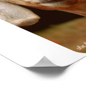 Poster Art de la chèvre (Coin)