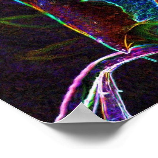 Poster Art de la fleur de rose électrique (Coin)