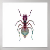 Poster Art de la fourmi (Devant)