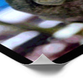 Poster Art de la grenouille de jardin (Coin)