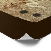 Poster Art de la grotte glaciaire (Coin)