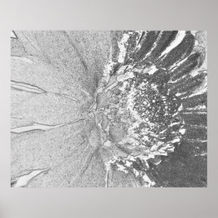 Poster Art de la marguerite