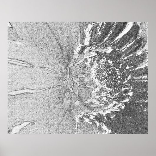 Poster Art de la marguerite (Devant)