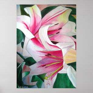 Poster Art de l'aquarelle des fleurs de lys blanches et r