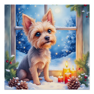 Poster Art de Noël Fenêtre Givrée Griffon de Bruxelles
