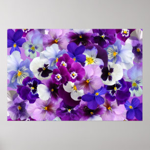 Poster Art de papier peint de fleur de pensée