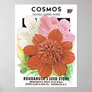 Poster Art de pochette de graines vintage, fleurs de jard