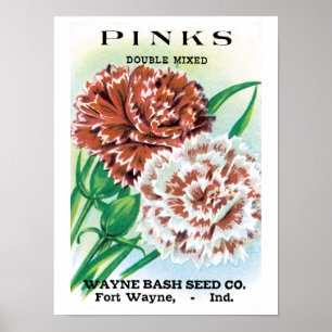 Poster Art de pochette de graines vintage, fleurs d'œille