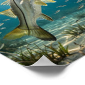 Poster Art de poisson snook (Coin)