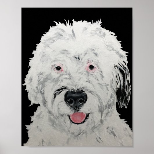 Poster Art de Sheepadoodle (Devant)