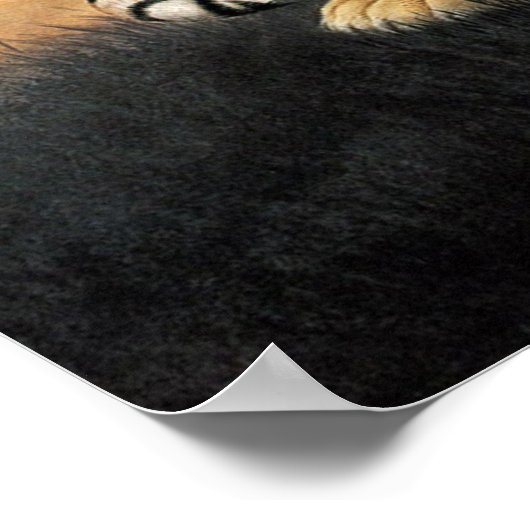 Poster Art de style chinois classique, Tigre rectangle (Coin)