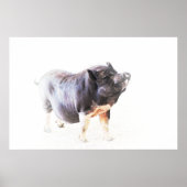 Poster Art De Style Ferme De Cochon (Devant)