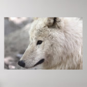 Poster Art de Wolf Lovers (Devant)