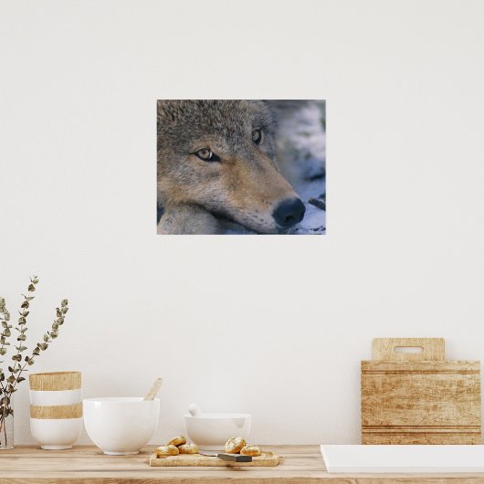 Poster Art de Wolf Lovers (Cuisine)