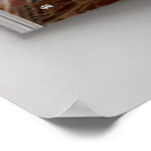 Poster Art Deco Opulence Geometric Patterns IIHER_XHU_001 (Coin)