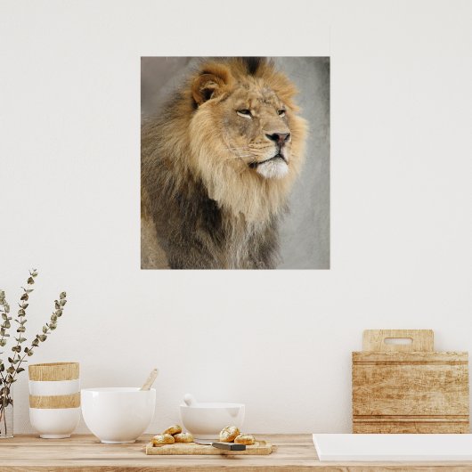 Poster art des lions (Cuisine)