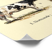 Poster Art des races bovines rétro (Coin)
