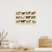 Poster Art des races bovines rétro (Cuisine)