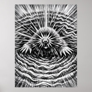 Poster Art des vibrations terrestres de la taupe à étoile