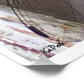 Poster Art Dragonfly (Coin)