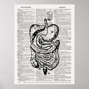 Poster Art du dictionnaire d'illustrations Médicale