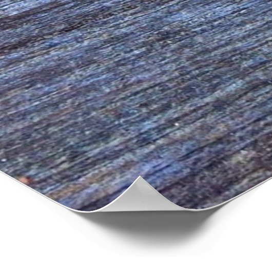 Poster Art du Fish Rock (Coin)