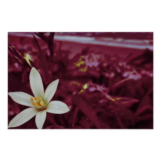 Poster Art du paysage des fleurs océanes (Devant)