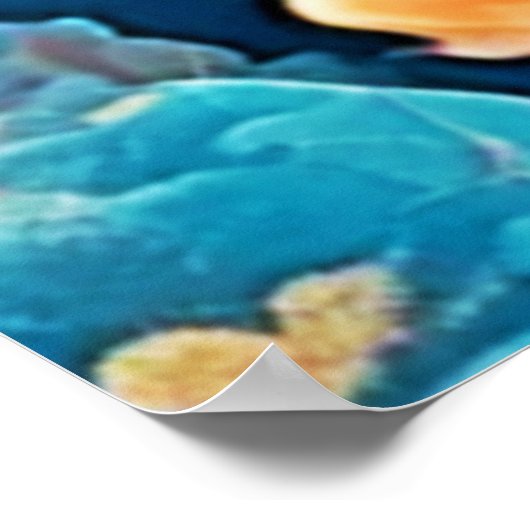 Poster Art du poisson rouge sous-marin (Coin)